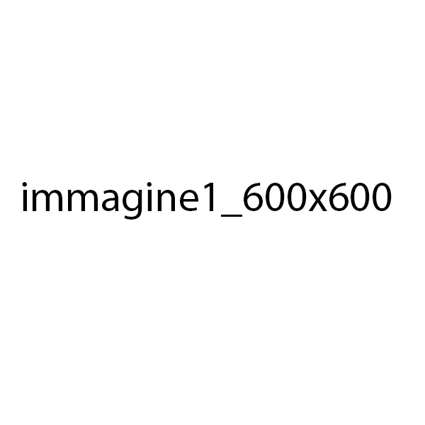 immagine 1 600 x 600