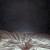 Chiara Enzo, Letti in una stanza (1 di 2, 2 di 2), Dittico, 2017-2018. Tempera gouache, pastello e matite colorate su cartoncino incollato su tavola. 27 x 26 cm cadauno. Courtesy: Collezione Enea Righi, Bologna