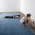 Ilya & Emilia Kabakov – The Blue Carpet, 1997, stanza,  tappeto blu, disegni Courtesy Galleria Continua