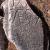 Capitello di semicolonna dai portici del Foro di Augusto con iscrizione di cava sul retro - Museo dei Fori Imperiali di Roma