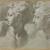 Francesco Mazzola detto il Parmigianino, Due studi della stessa testa di un giovane di profilo (dal Laocoonte) - Pennello e inchiostro diluito, biacca (carbonato basico di piombo), carboncino, parziale puntinatura (sulla figura a sinistra), carta cerulea - Firenze, Gabinetto Disegni e Stampe degli Uffizi