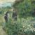 Auguste Renoir. Cogliendo fiori, 1875, olio su tela. Collezione Ailsa Mellon Bruce, 1970.17.61